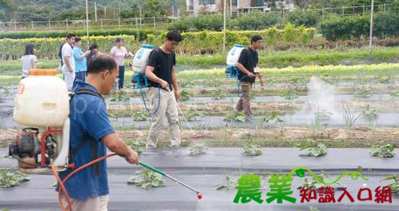 提升農友安全用藥觀念及技術 降低農藥殘留風險