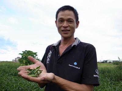 打造三星新特產　謝朝陽的經典茗茶