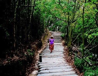 鄉間小路-大坑休閒農場