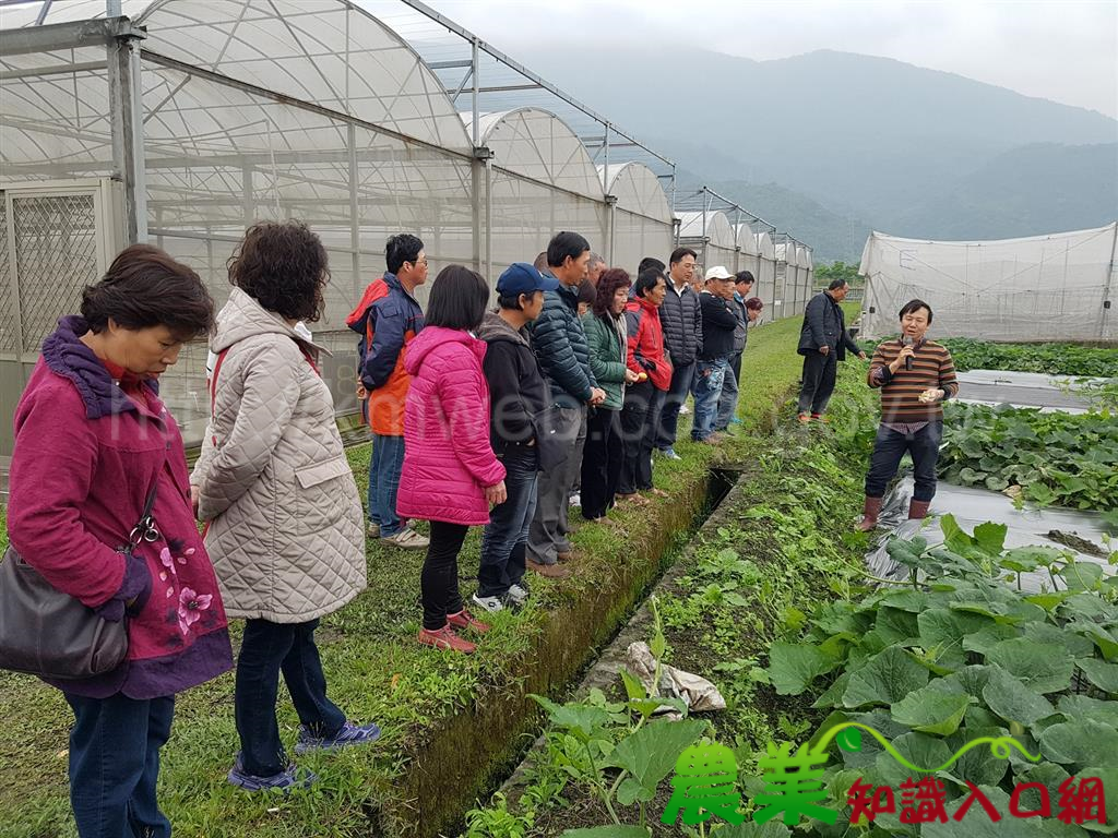 花蓮鮮當歸遇上宜蘭櫻桃鴨　花蓮農改場開放日活動好吃好玩又好康