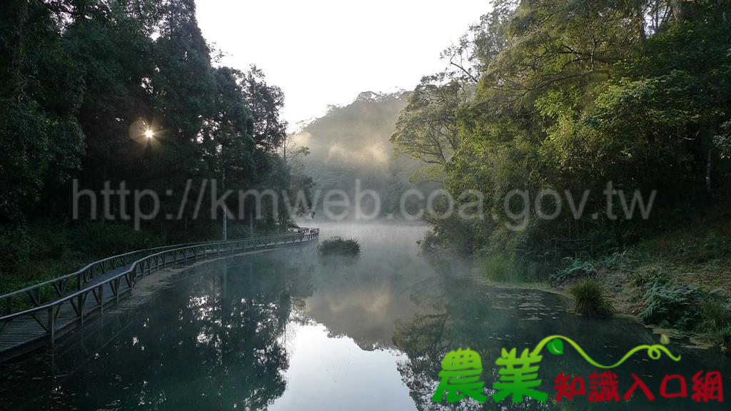 水生植物池科學化管理福山植物園美景更升級