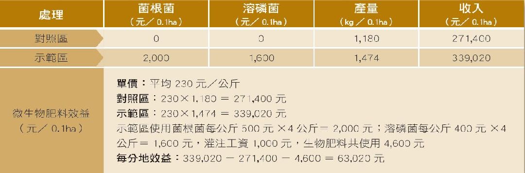 微生物肥料在香瓜應用效益評估