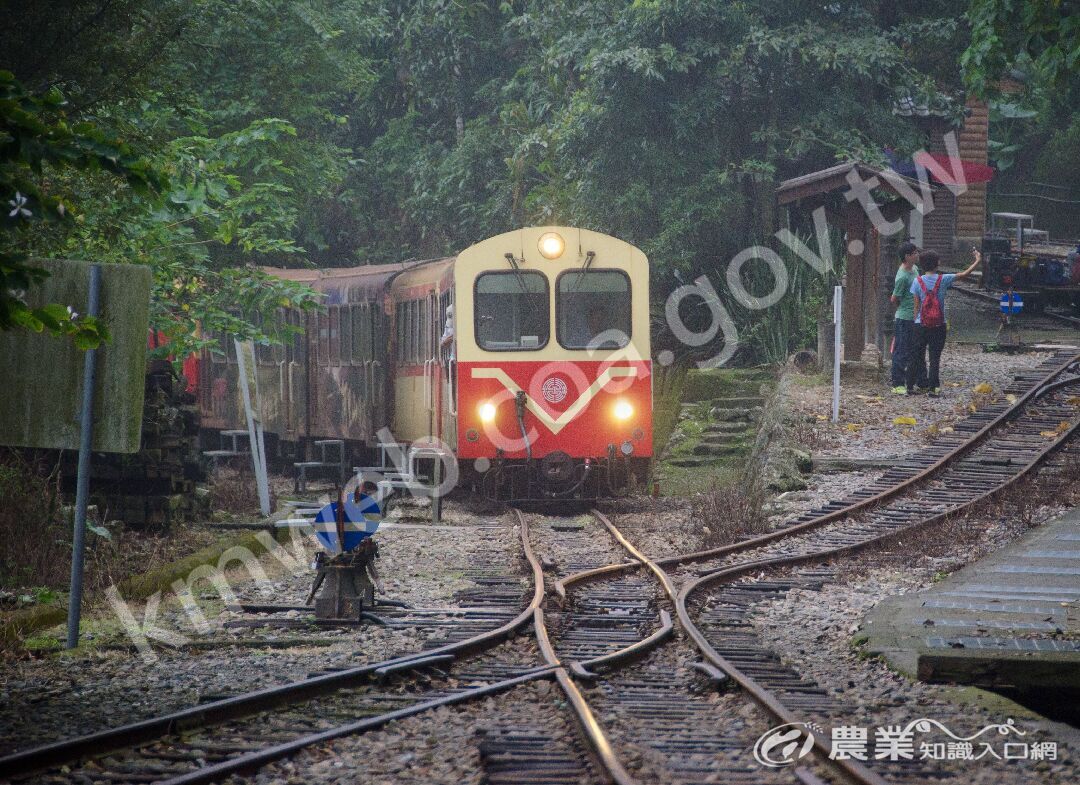 樟腦寮車站折返式路線_所有權、版權說明_賴國華拍攝