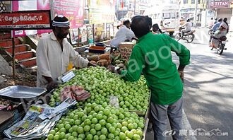 餘甘子在印度作為水果販售
