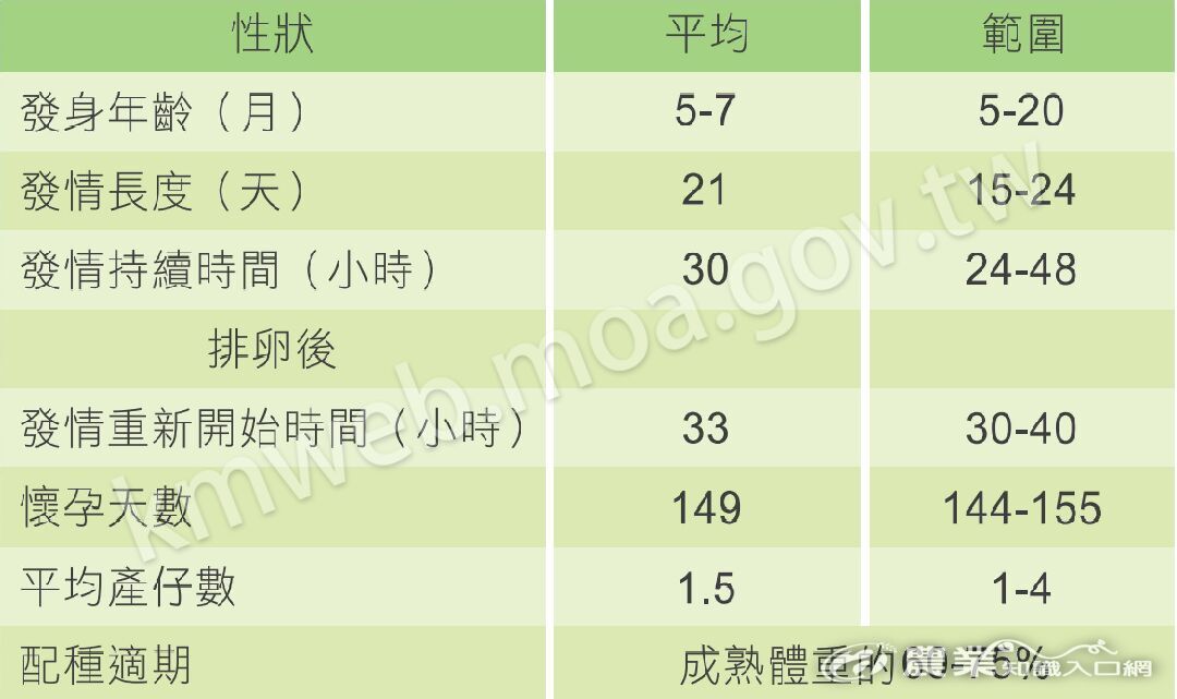 母羊生殖生理性狀