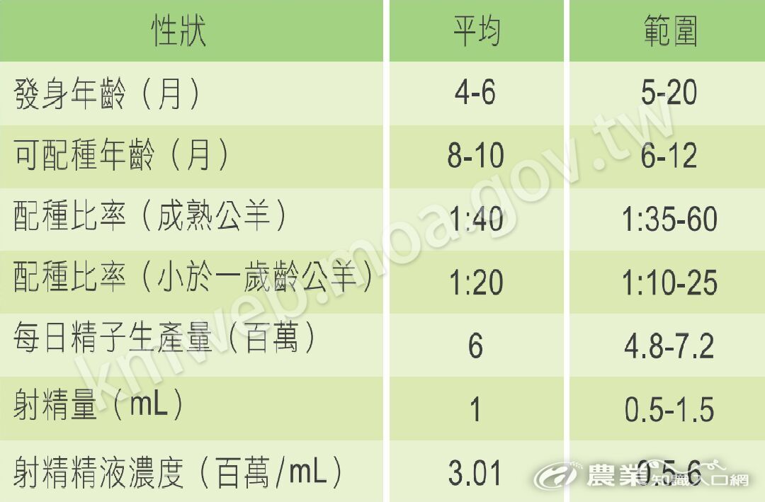 公羊生殖生理性狀