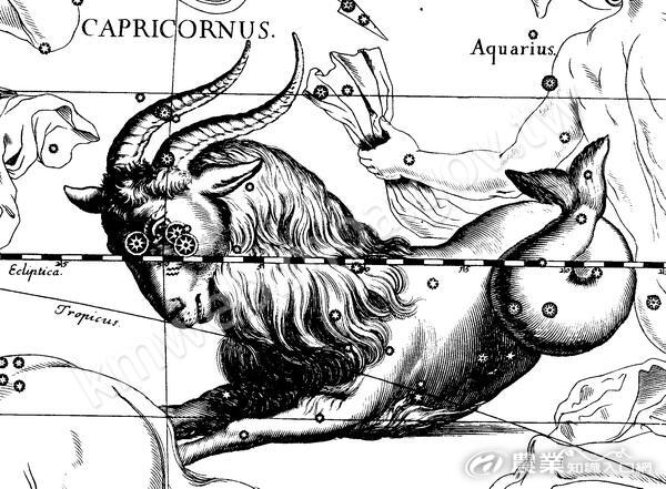 Capricorn_Hevelius