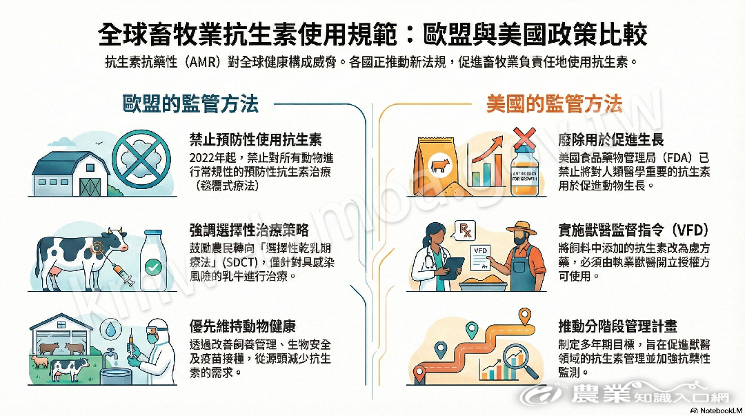 全球畜牧業抗生素使用規範