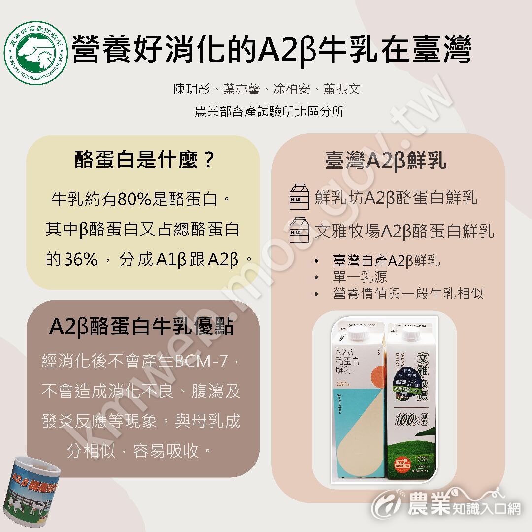 2024-乳牛節海報-營養好消化的A2β牛乳在臺灣-001