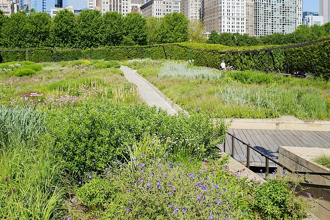 Lurie_Garden_DSC1259