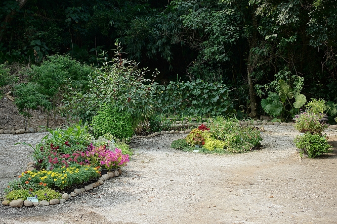 彰化芬園社區_DSC04882-2400