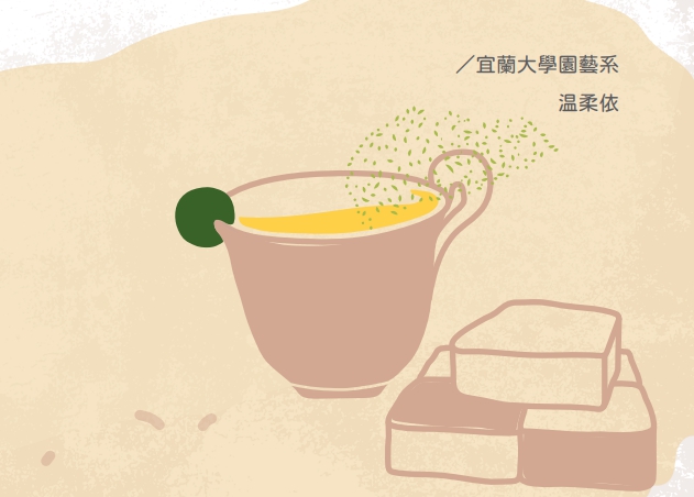 重返歲月