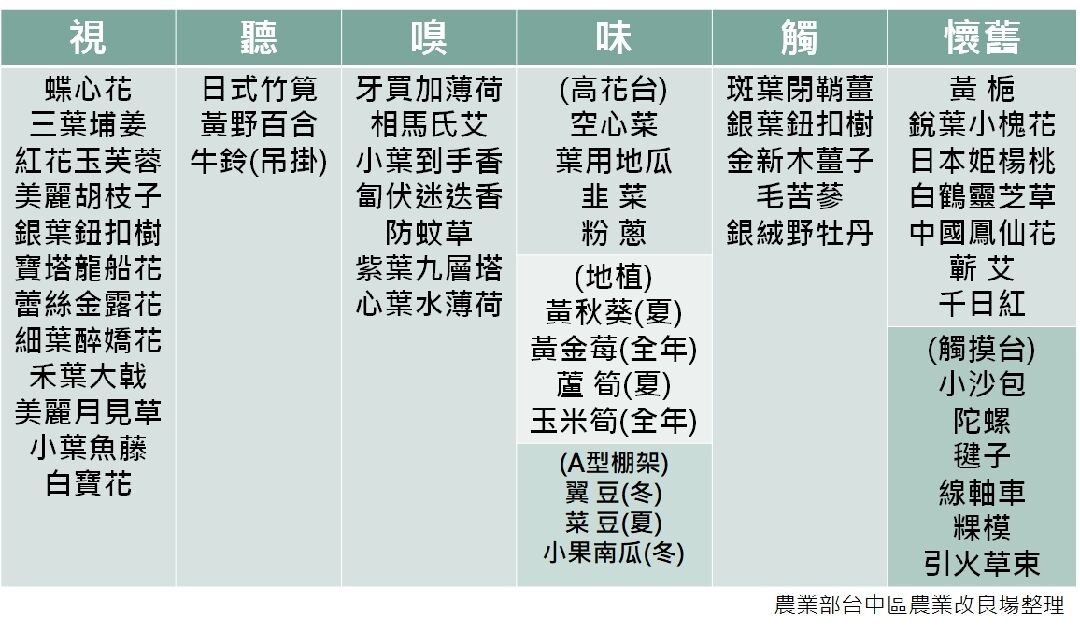 高齡療育花園植物配方