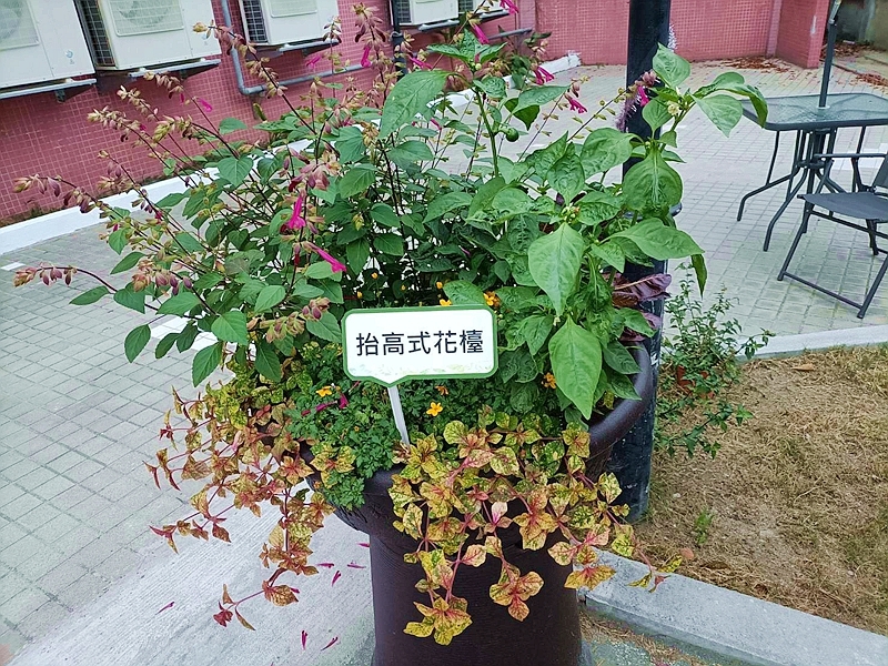 彰化榮家_抬高花台IMG_1536_800