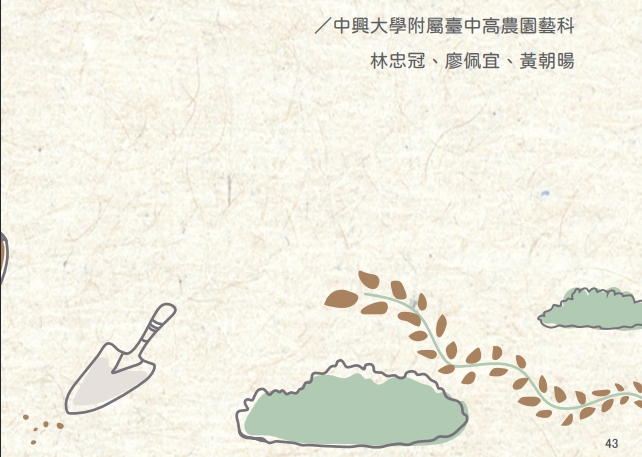 微型花園