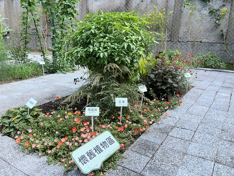 彰化榮家_懷舊區IMG_1267