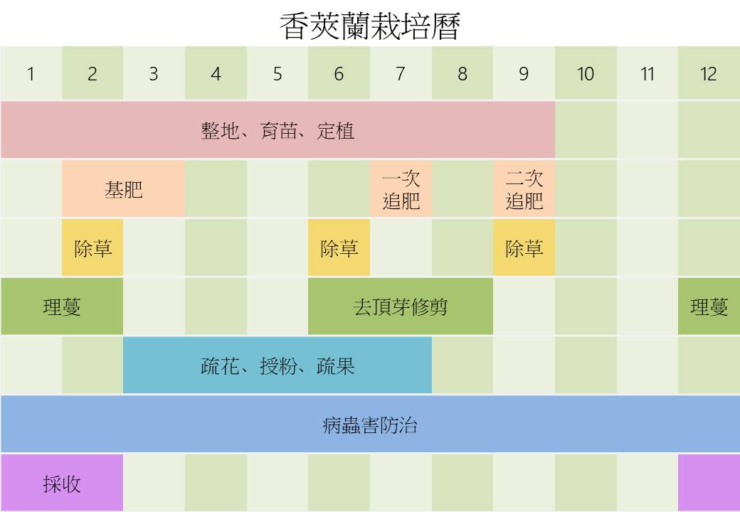 7_香莢蘭栽培曆-圖