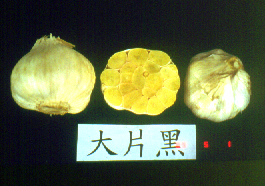 大片黑