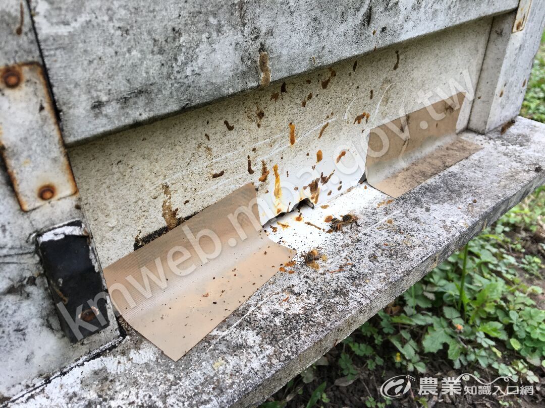 微粒_拉屎