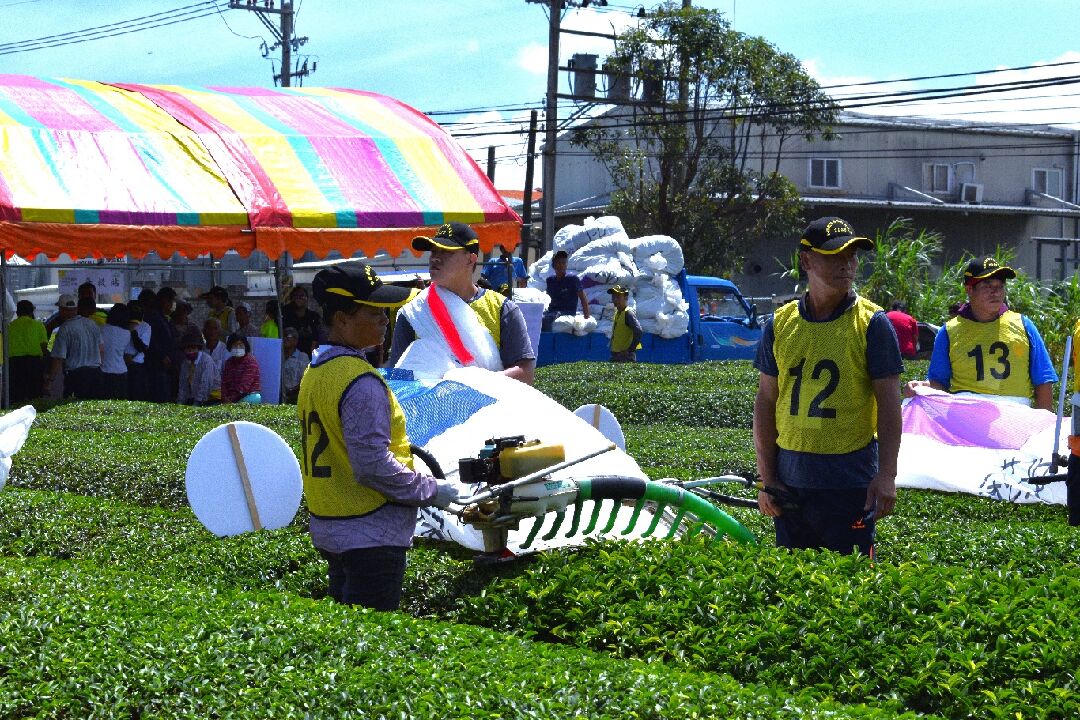 圖三、「2023全國機採茶菁技術競賽」桃園市龜山區選手競賽情形