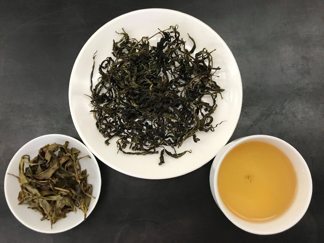 山蘊烏龍茶茶乾葉底及茶湯