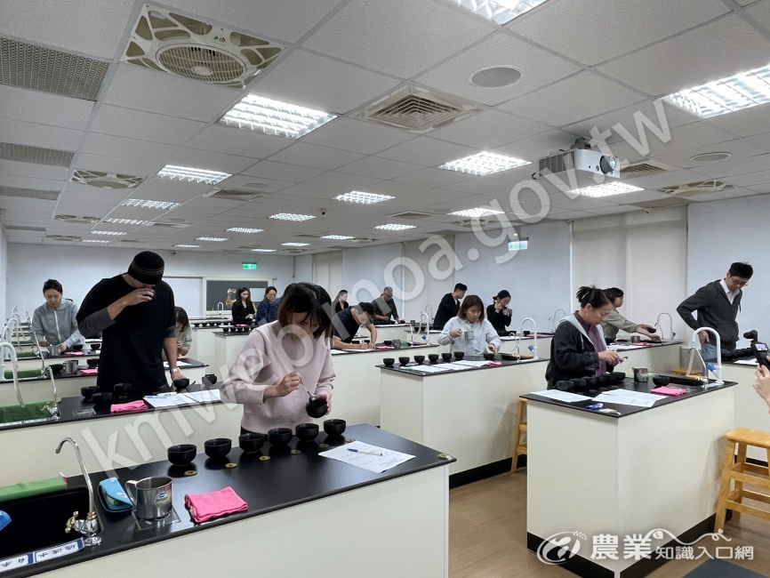 圖1_第一屆「2025臺灣最佳侍茶師大賽」初賽茶湯風味穩定性測驗