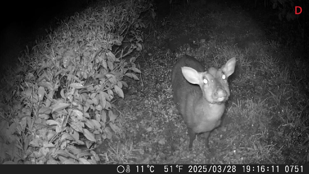 1141208-1-1D 1141208-1-1D