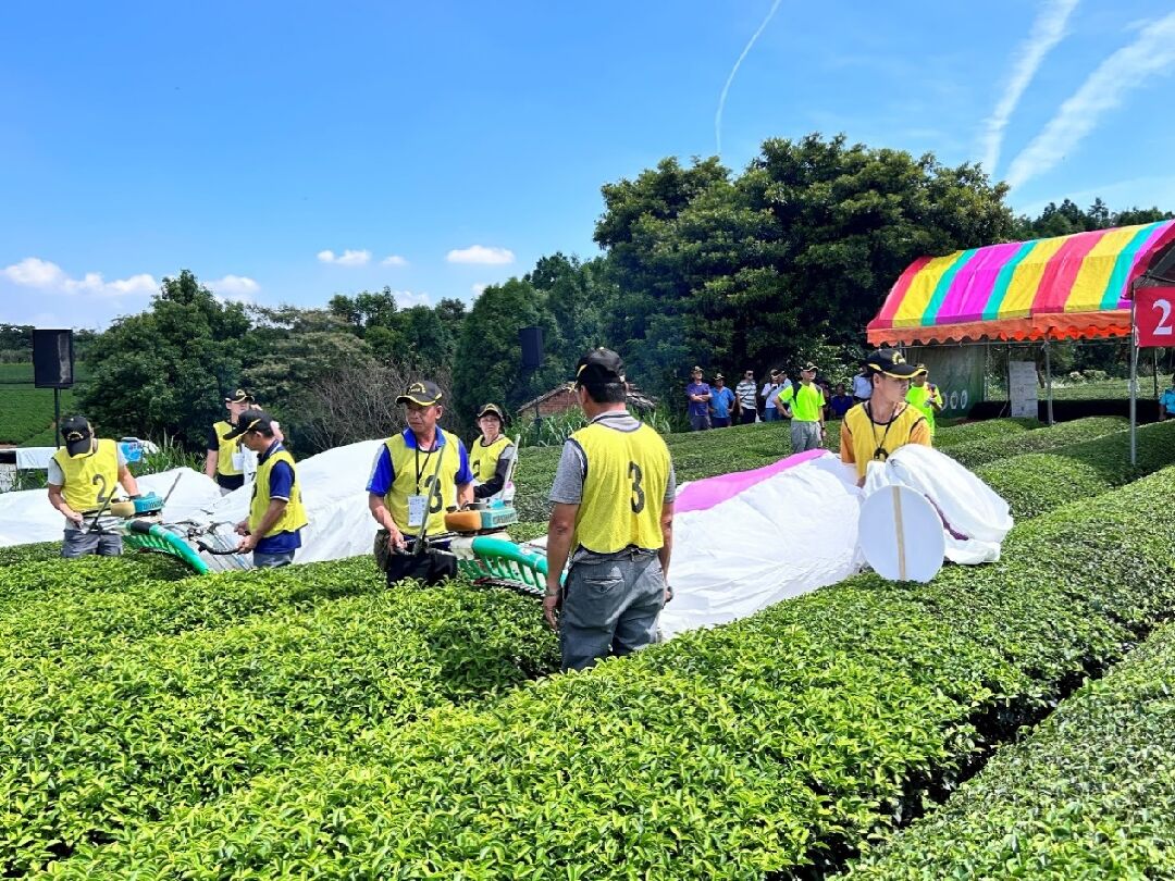 圖六、「2023全國機採茶菁技術競賽」桃園市蘆竹區選手競賽情形