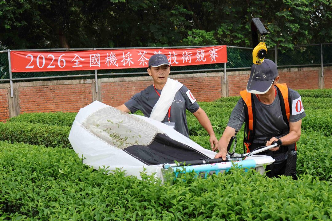 圖八、2026全國機採茶菁技術競賽選手競賽情形,由新北市深坑區農會代表隊榮獲單人採茶機組冠軍。 圖八、2026全國機採茶菁技術競賽選手競賽情形,由新北市深坑區農會代表隊榮獲單人採茶機組冠軍。