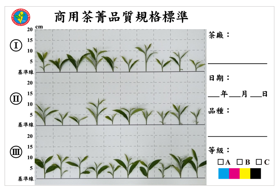 圖1、商用茶菁品質規格標準圖板