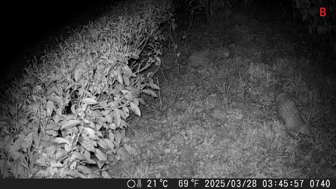 1141208-1-1B 1141208-1-1B