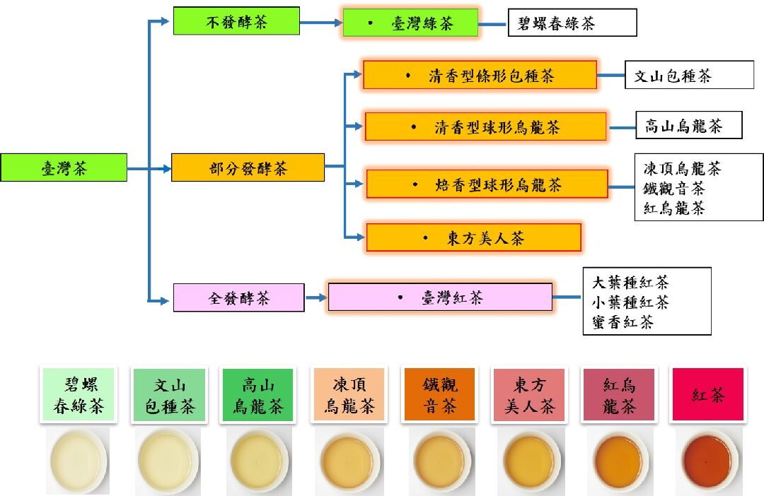 臺灣特色茶風味輪種類