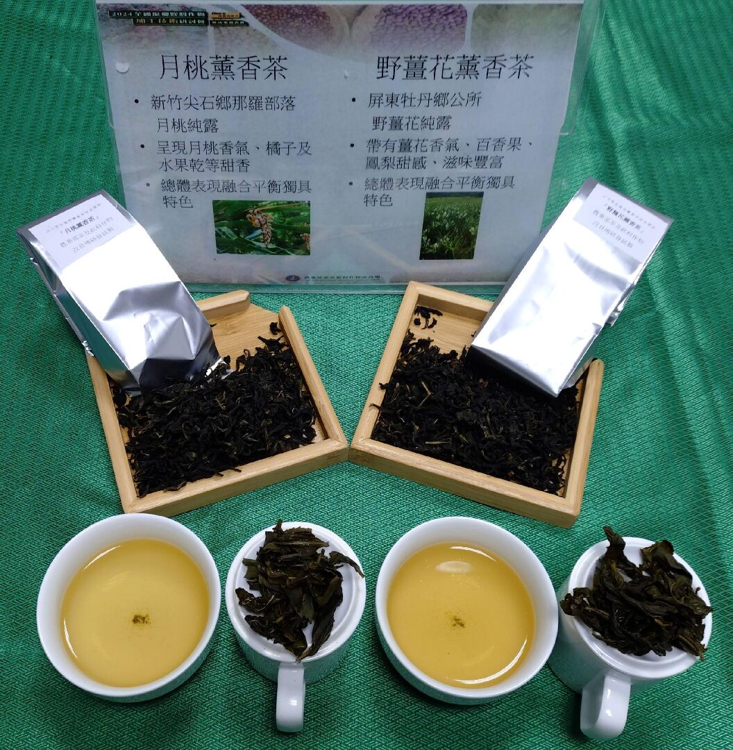 圖二、月桃薰香包種茶(左)及野薑花薰香包種茶(右)研製產品茶乾及茶湯
