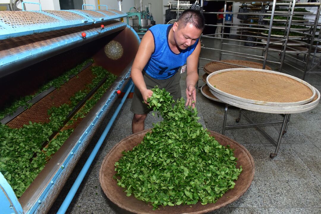 1140829-3-1 1140829-3-1