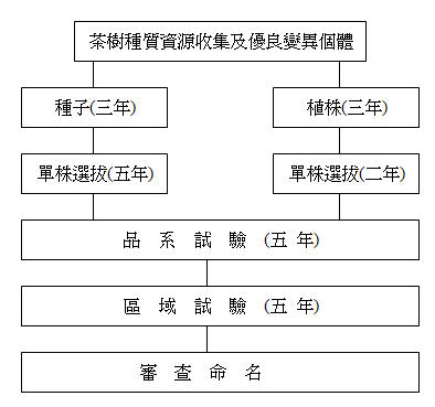 茶樹育種程序