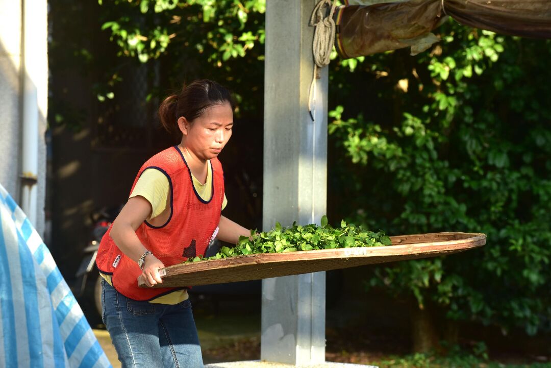 1140829-3-2 1140829-3-2