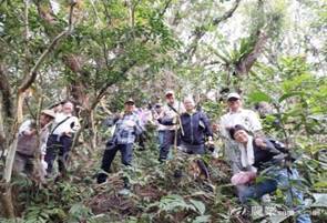 蘇宗振場長及同仁與臺灣原生山茶永康變種茶樹留影 (蕭孟衿攝)