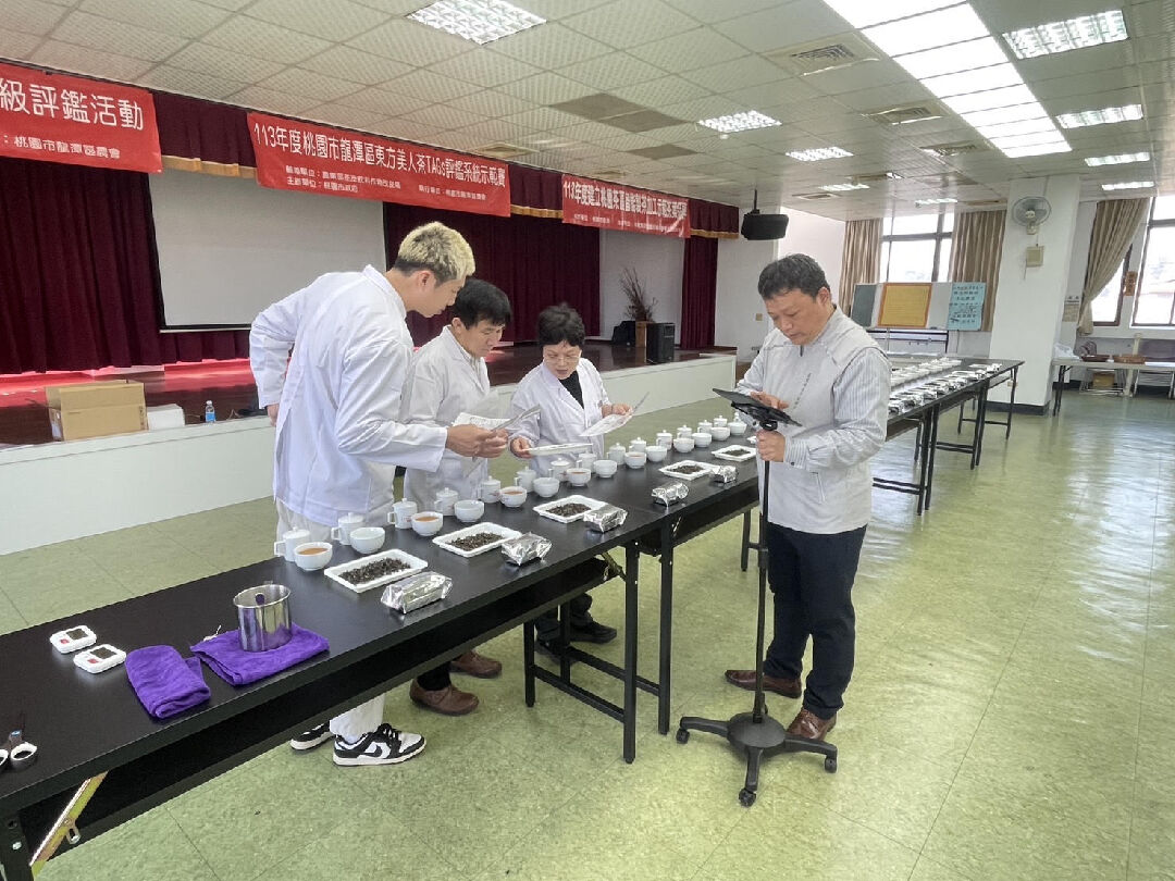 圖一、產官學評審用TAGs數位評鑑系統評鑑。 圖一、產官學評審用TAGs數位評鑑系統評鑑。