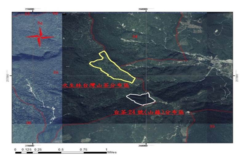 圖2、本次調查區域主要為關山工作站延平事業區第15林班。