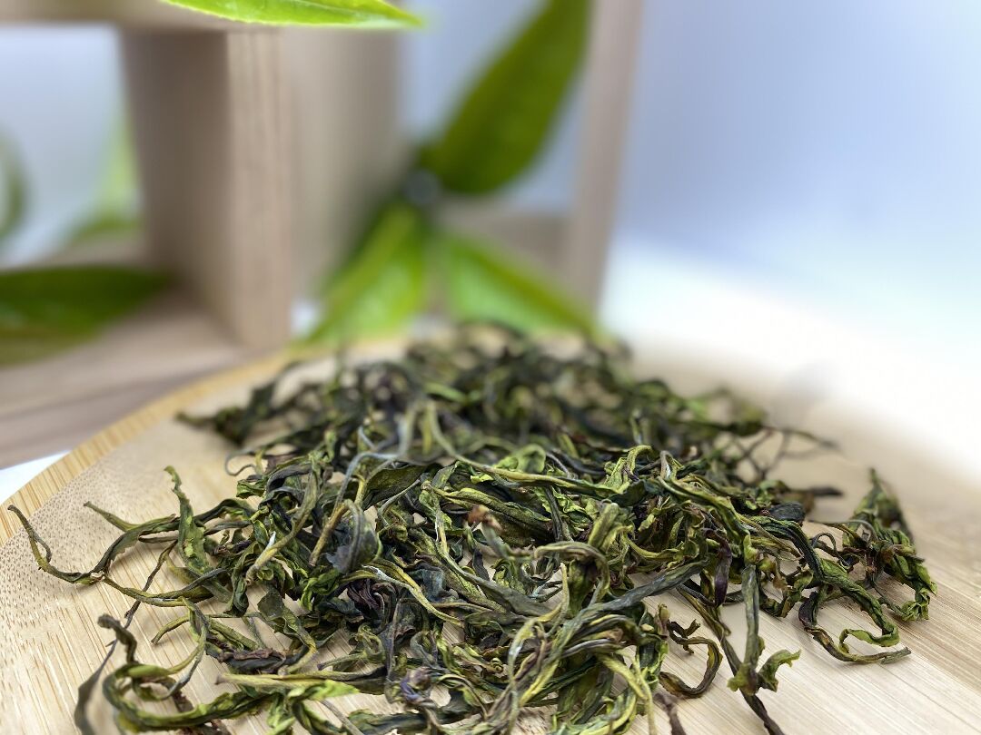圖二、臺茶24號GABA烏龍茶之茶乾