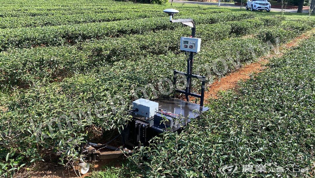 圖一、智慧除草機作業情形