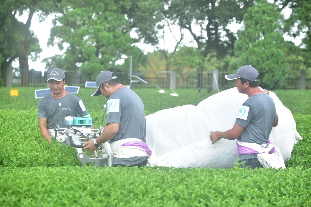 圖七、2026全國機採茶菁技術競賽選手競賽情形,由宜蘭縣冬山鄉農會代表隊榮獲雙人採茶機組冠軍 圖七、2026全國機採茶菁技術競賽選手競賽情形,由宜蘭縣冬山鄉農會代表隊榮獲雙人採茶機組冠軍