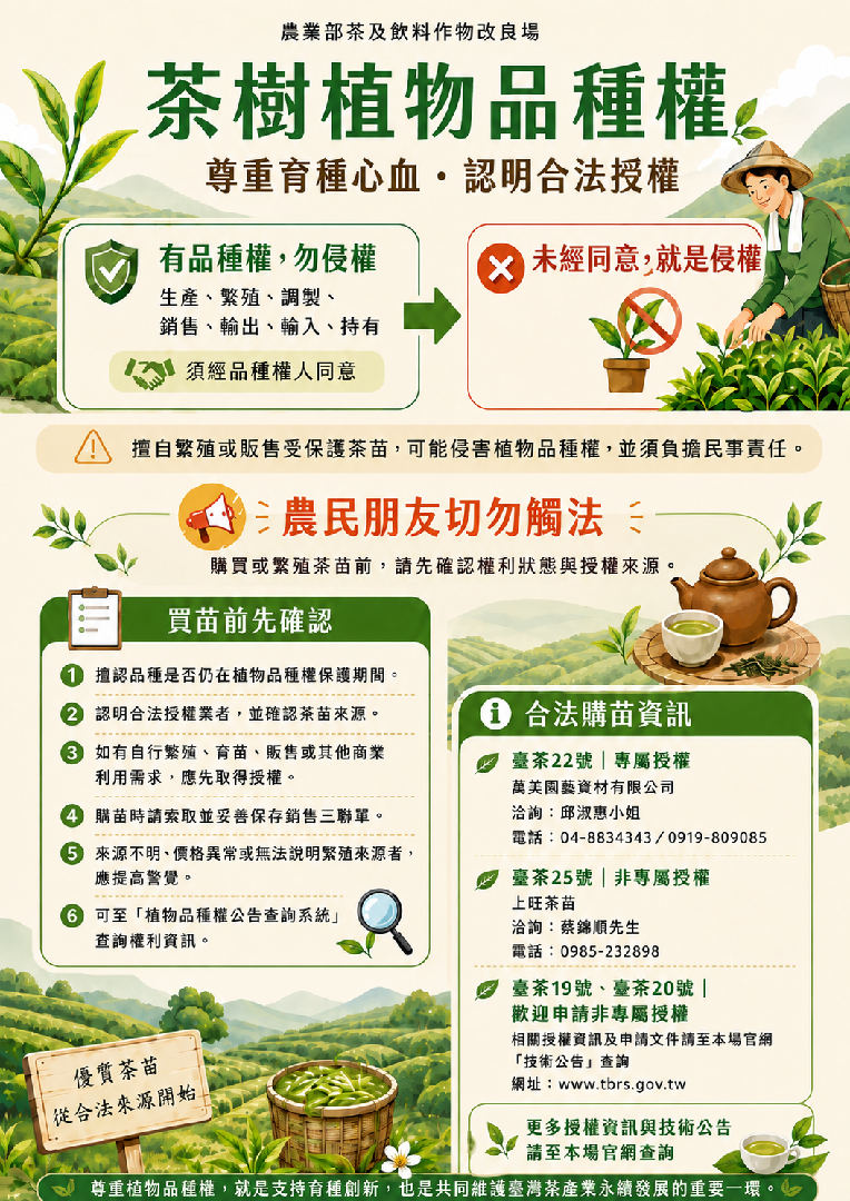 茶樹植物品種權