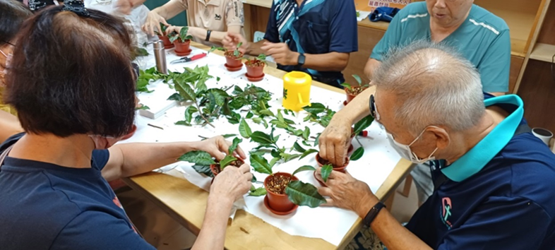 圖2、茶盆栽手作體驗