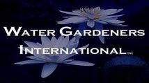 water gardeners international 
