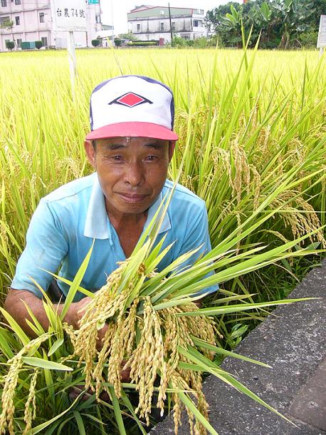 台農74號(聯合知識庫授權)
