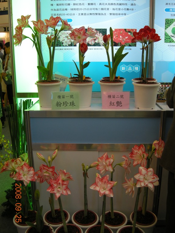 2008台北國際發明暨技術交易展