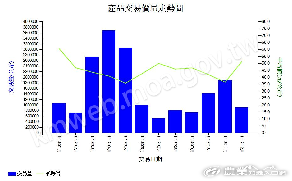 洋香瓜_111_產品交易價量走勢圖