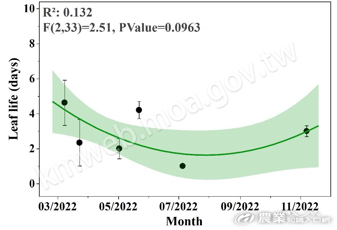 菊花清心葉片壽命1 菊花清心葉片壽命1