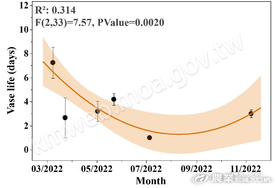 菊花清心瓶插壽命1 菊花清心瓶插壽命1